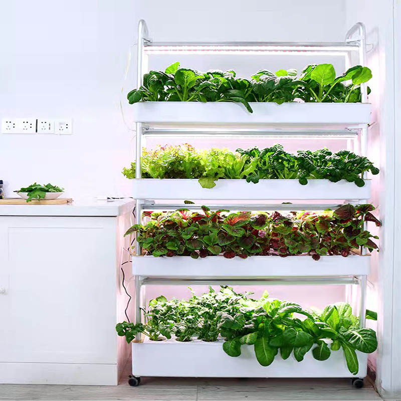 Sistema de plantio ydroponic S - Diy Automation avaliação e preço